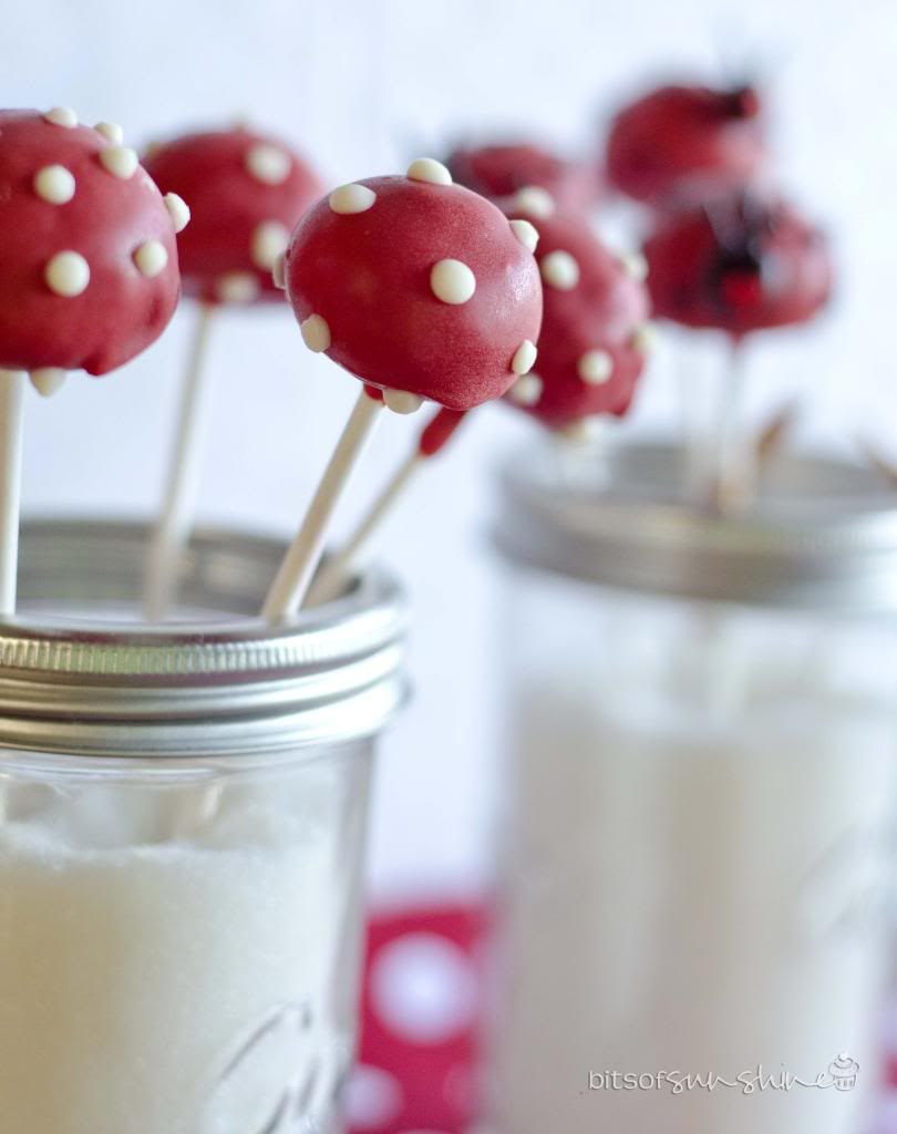 Condensed Milk & Shortbread Cake Pops — Bits of Sunshine